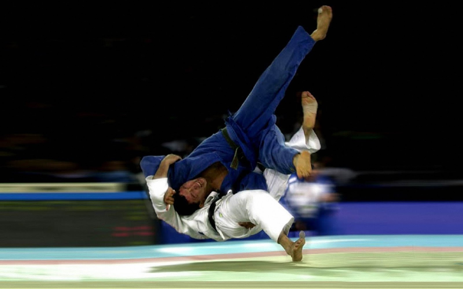 david douillet judo pc download